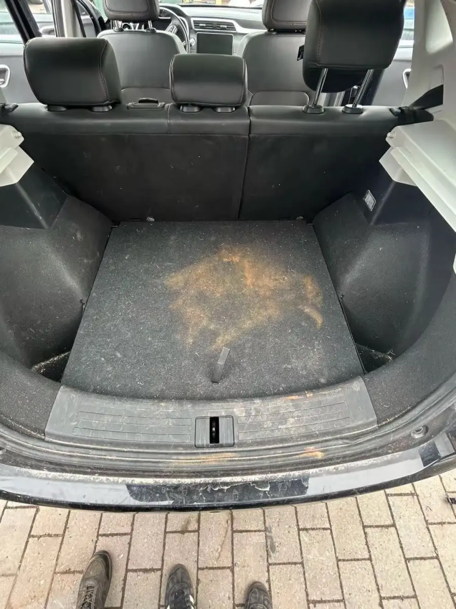 Før: bagasjerom med stor oransje flekk og hundehår